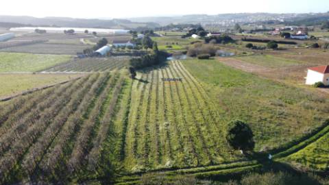 Terreno c/ projeto aprovado em Moita dos Ferreiros