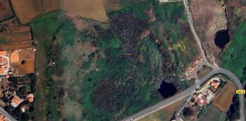 Terreno Rústico Ribamar