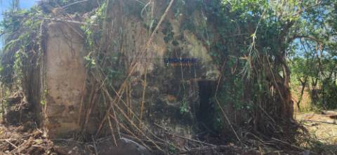 Terreno de 3463m2 com Ruina uma antiga Azenha em   Alfeizerão