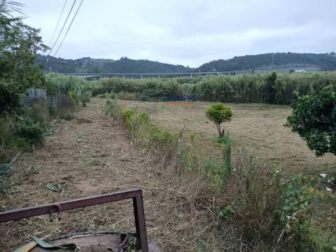 Terreno de 3463m2 com Ruina uma antiga Azenha em   Alfeizerão