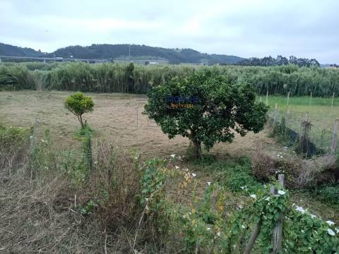 Terreno de 3463m2 com Ruina uma antiga Azenha em   Alfeizerão