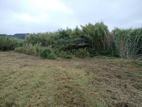Terreno de 3463m2 com Ruina uma antiga Azenha em   Alfeizerão