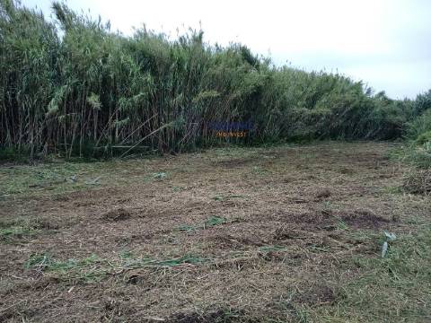 Terreno de 3463m2 com Ruina uma antiga Azenha em   Alfeizerão