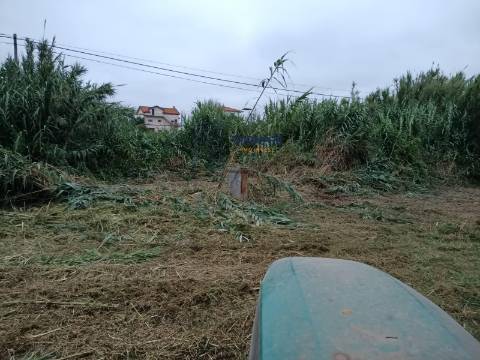 Terreno de 3463m2 com Ruina uma antiga Azenha em   Alfeizerão