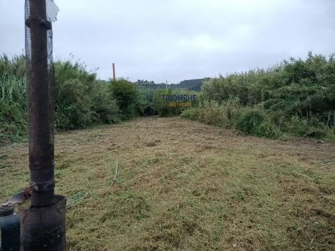 Terreno de 3463m2 com Ruina uma antiga Azenha em   Alfeizerão