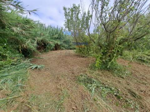 Terreno de 3463m2 com Ruina uma antiga Azenha em   Alfeizerão