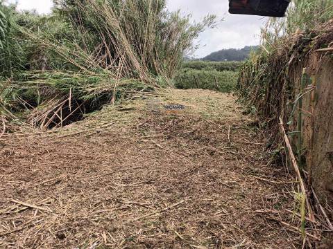 Terreno de 3463m2 com Ruina uma antiga Azenha em   Alfeizerão