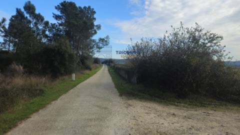 Terreno rústico com 29000m2, Montalvo, Constância