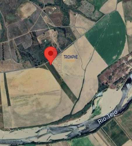 Terreno rústico com 29000m2, Montalvo, Constância