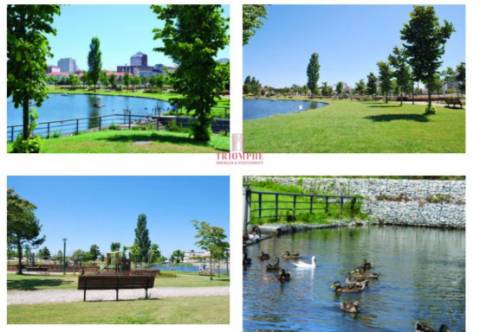 Terreno Urbano 377 m2 Marinha Grande