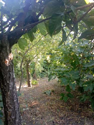 Terreno Rústico com Potencial Futuro em Fetais - Camarate 