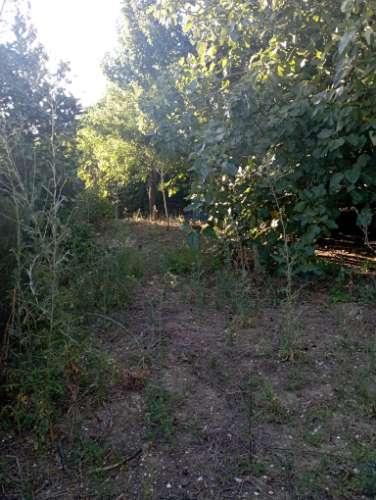 Terreno Rústico com Potencial Futuro em Fetais - Camarate 