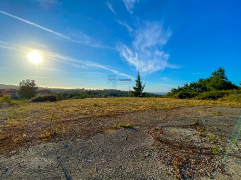 Terreno Rústico com Viabilidade de Construção - Carvalhinho, Porto de Mós