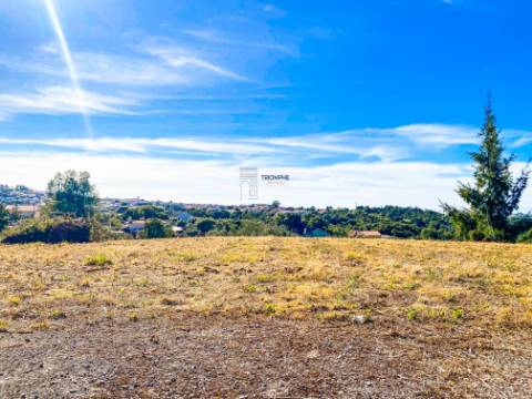 Terreno Rústico com Viabilidade de Construção - Carvalhinho, Porto de Mós