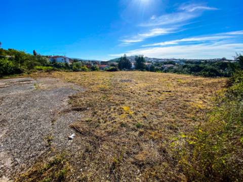 Terreno Rústico com Viabilidade de Construção - Carvalhinho, Porto de Mós