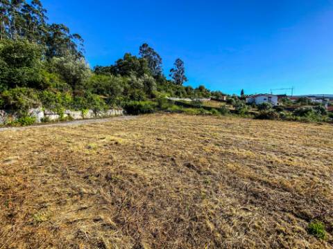 Terreno Rústico com Viabilidade de Construção - Carvalhinho, Porto de Mós