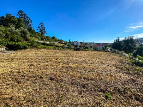 Terreno Rústico com Viabilidade de Construção - Carvalhinho, Porto de Mós