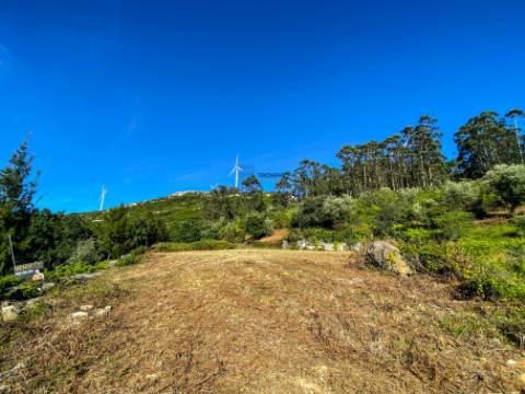 Terreno Rústico com Viabilidade de Construção - Carvalhinho, Porto de Mós