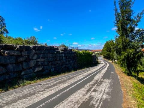 Terreno Rústico com Viabilidade de Construção - Carvalhinho, Porto de Mós