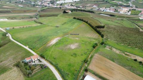 Terreno urbano de 15.000m2 em Freiria, Torres Vedras