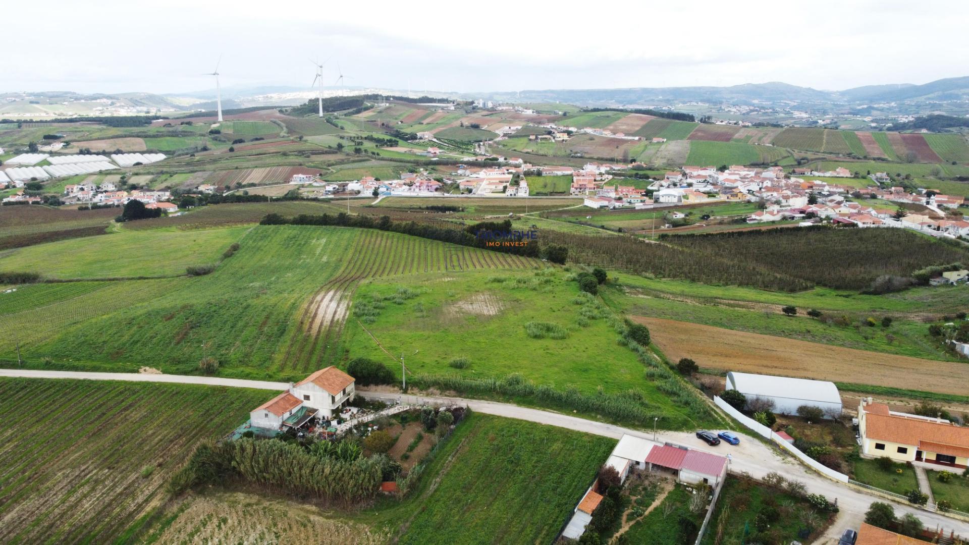 Terreno urbano de 15.000m2 em Freiria, Torres Vedras
