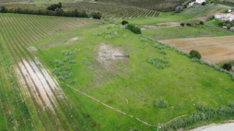 Terreno urbano de 15.000m2 em Freiria, Torres Vedras