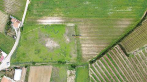 Terreno urbano de 15.000m2 em Freiria, Torres Vedras