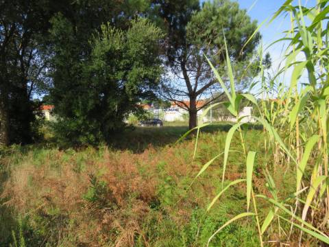 Lote de Terreno Urbano nas Gaeiras 388 m2