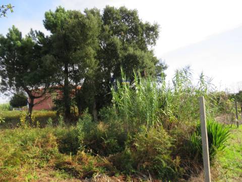 Lote de Terreno Urbano nas Gaeiras 388 m2