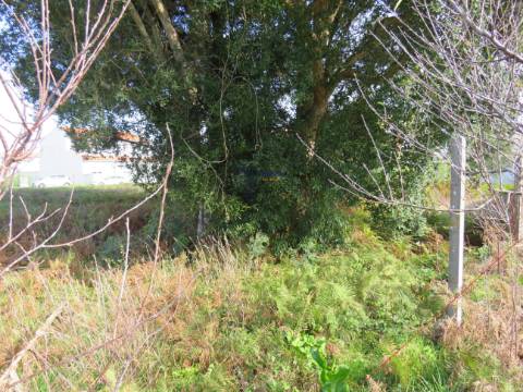 Lote de Terreno Urbano nas Gaeiras 388 m2