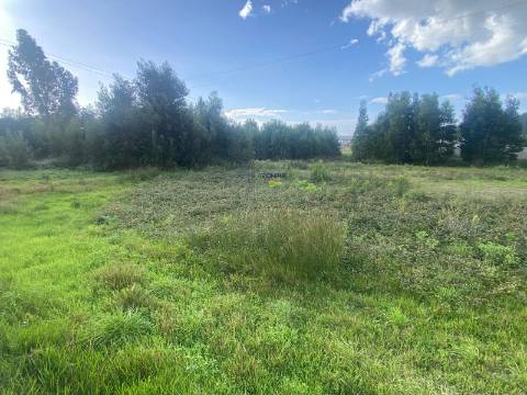 Terreno 3.486m2 em zona urbana Pataias 