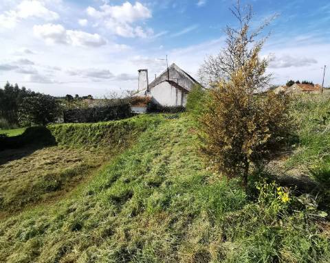  Terreno urbano 787.00 m2 Santa Catarina, Caldas da Rainha