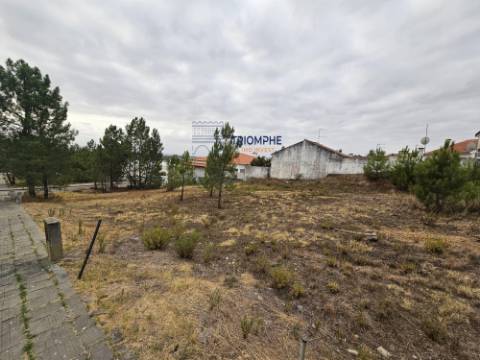 Terreno urbano Botequim, Meia Via, Torres Novas