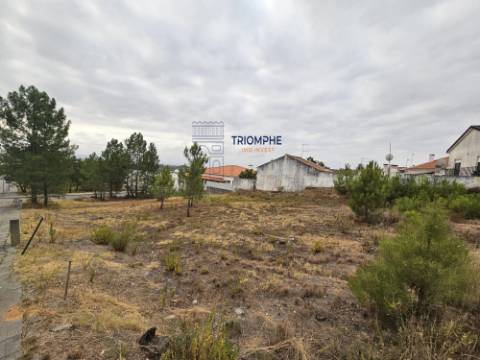 Terreno urbano Botequim, Meia Via, Torres Novas