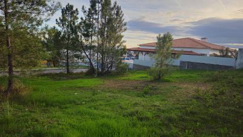 Terreno urbano Botequim, Meia Via, Torres Novas