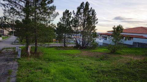 Terreno urbano Botequim, Meia Via, Torres Novas