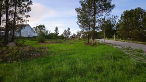 Terreno urbano Botequim, Meia Via, Torres Novas