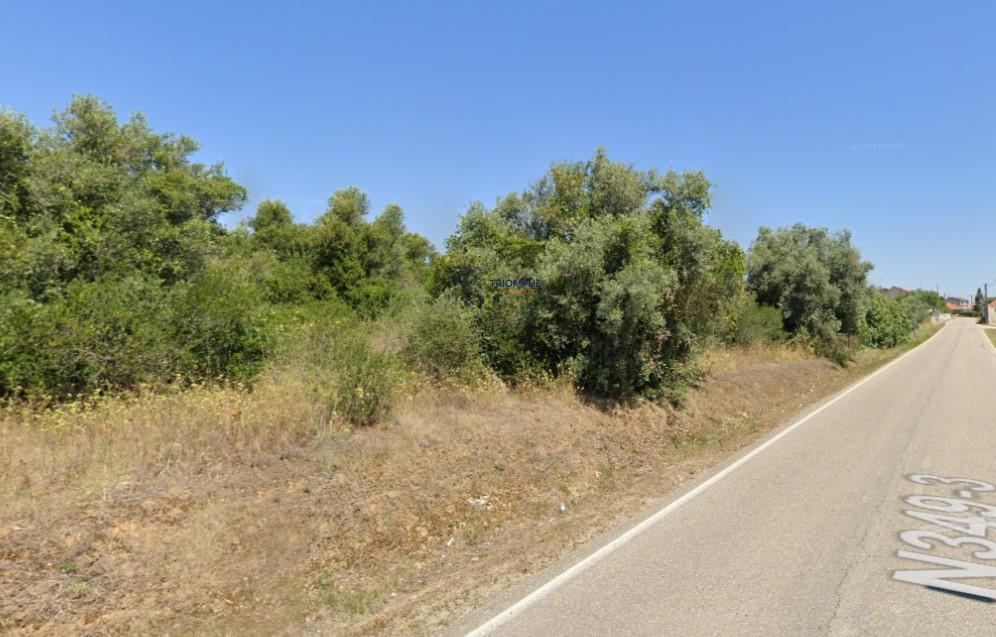 Terreno Rústico - 1840m2 - Torres Novas 