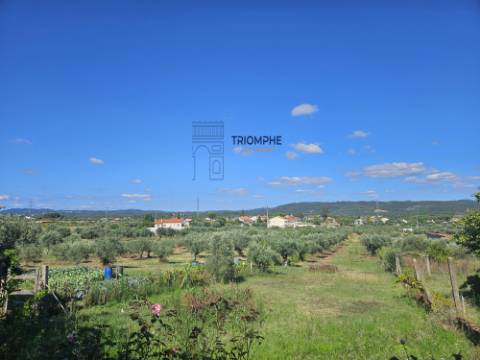 Quinta em terreno rústico, com parcela urbana