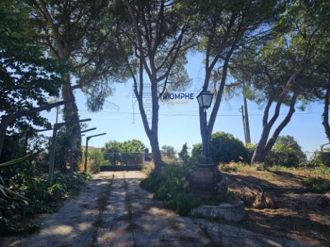 Quinta em terreno rústico, com parcela urbana