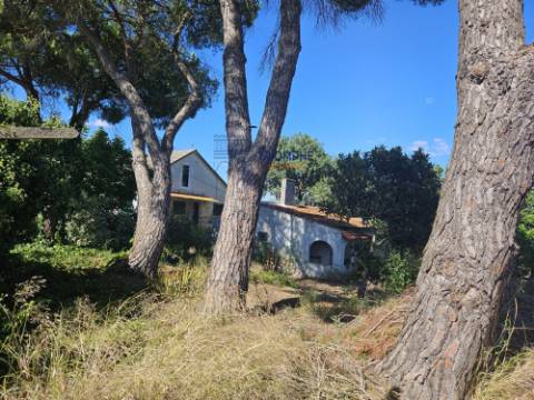 Quinta em terreno rústico, com parcela urbana