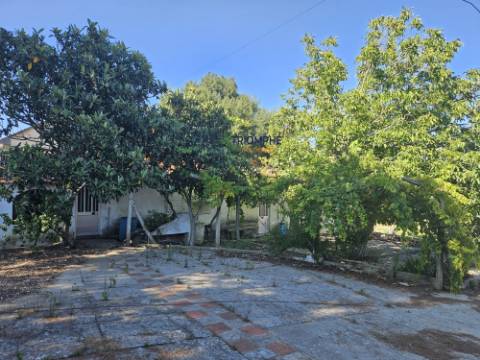 Quinta em terreno rústico, com parcela urbana