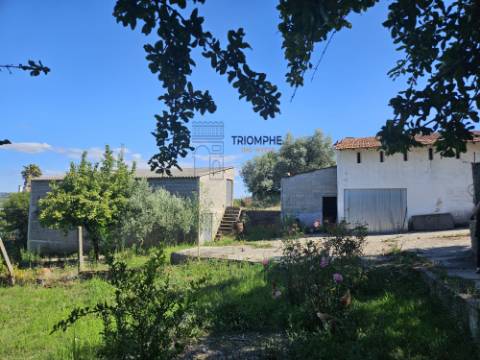 Quinta em terreno rústico, com parcela urbana