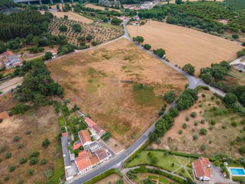 Terreno 32000m2 Asseiceira, Rio Maior