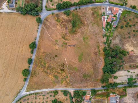 Terreno 32000m2 Asseiceira, Rio Maior