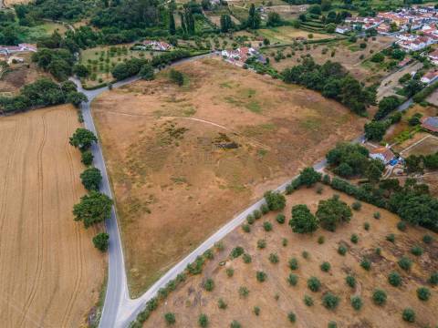 Terreno 32000m2 Asseiceira, Rio Maior