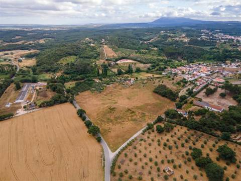 Terreno 32000m2 Asseiceira, Rio Maior
