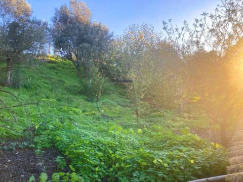 Terreno de 11.220m2 com 240m2 Urbano e Armazém, Arão, Portimão