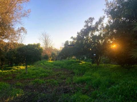 Terreno de 11.220m2 com 240m2 Urbano e Armazém, Arão, Portimão