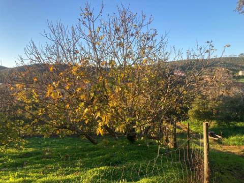 Terreno de 11.220m2 com 240m2 Urbano e Armazém, Arão, Portimão